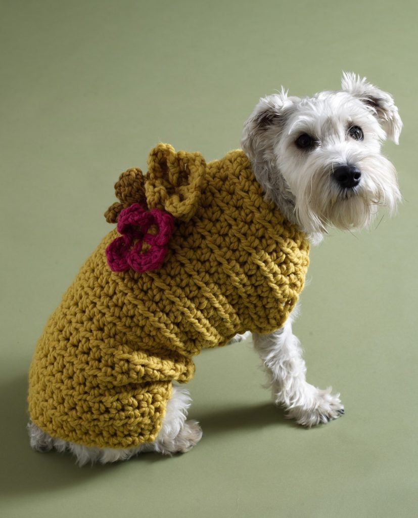 Best Free Crochet Dog Sweater Patterns By Lucy Kate Crochet