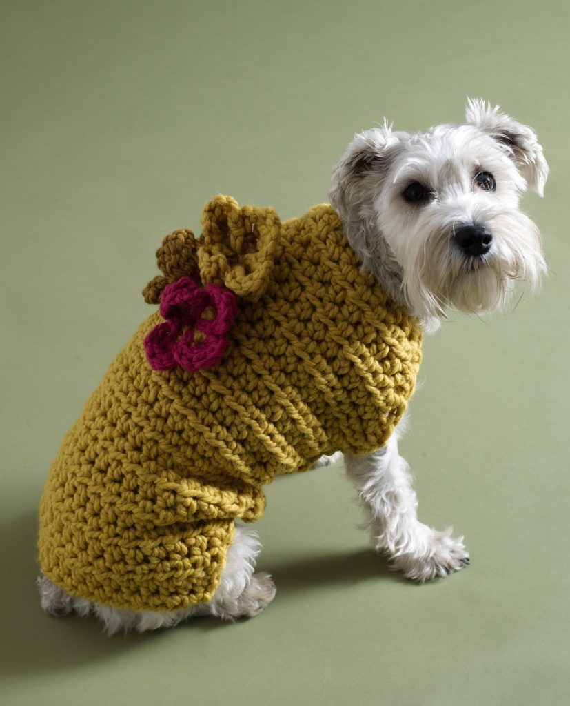 Free crochet dog sweater patterns by Lion Brand