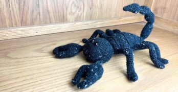 free crochet scorpion pattern by lucy kate crochet