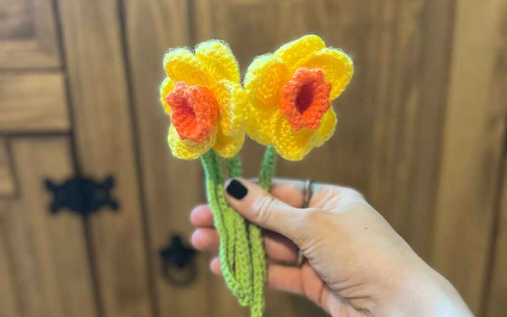 photograph of crochet daffodils 