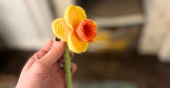 image showing a crochet daffodil