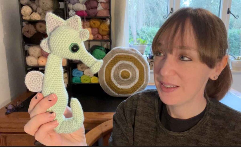 lucy kate crochet seahorse