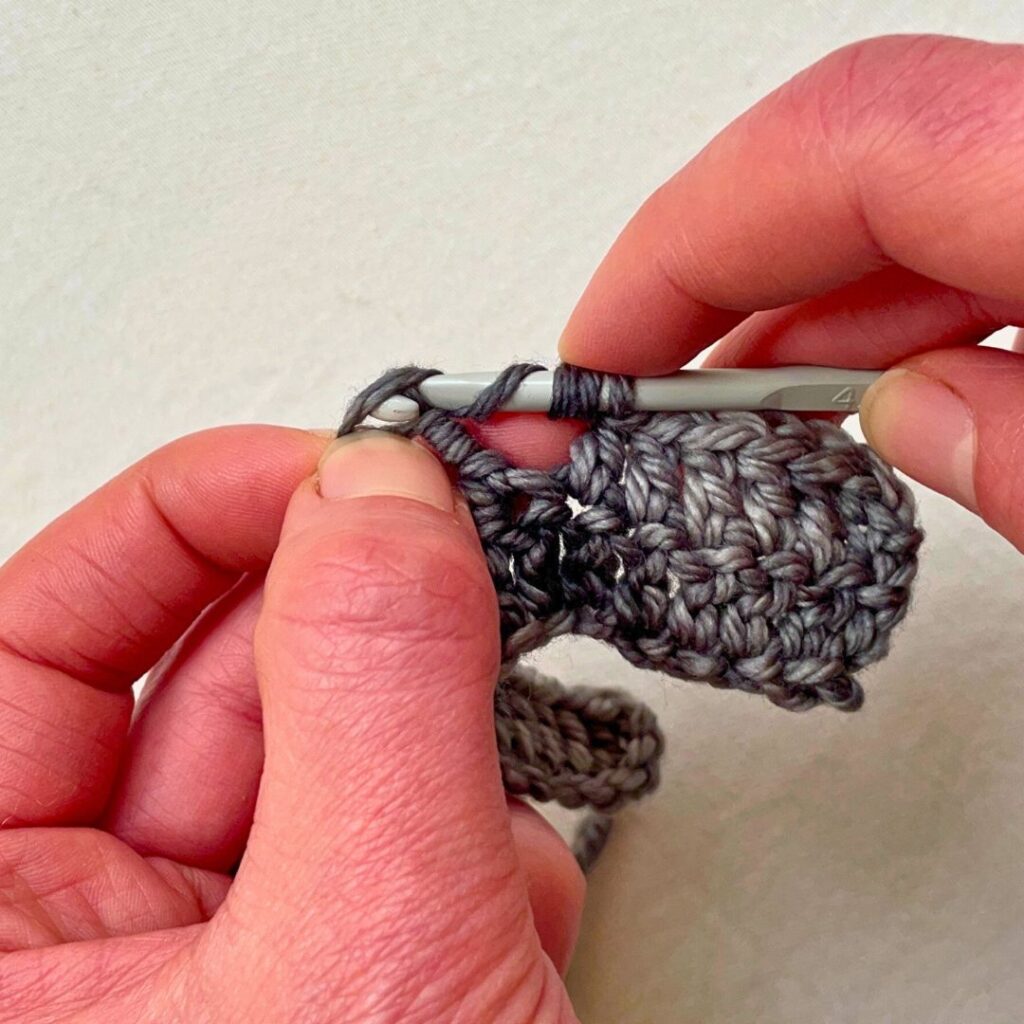 making bullion stitch with a regular crochet hook