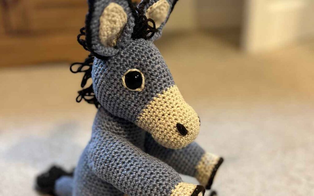 image of my crochet donkey's highlighted eye