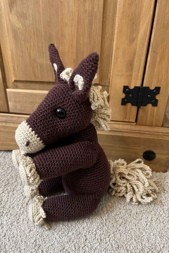 image showing the crochet horse