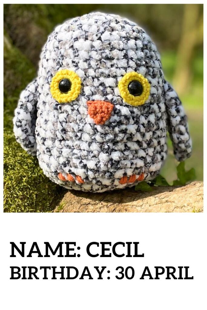 cecil the squishy crochet owl ID card