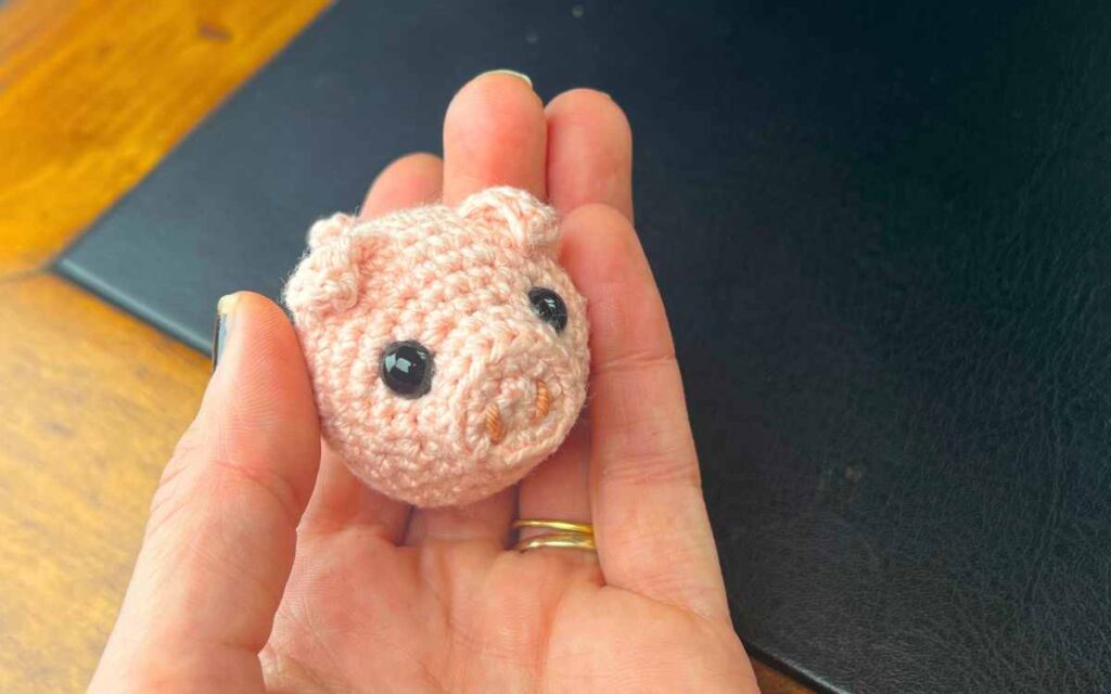 image of the crochet pig in my hand