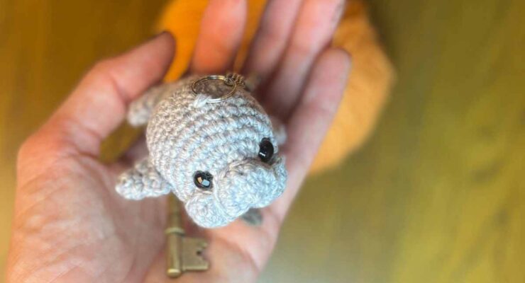 photo of my amigurumi seal keychain on my hand