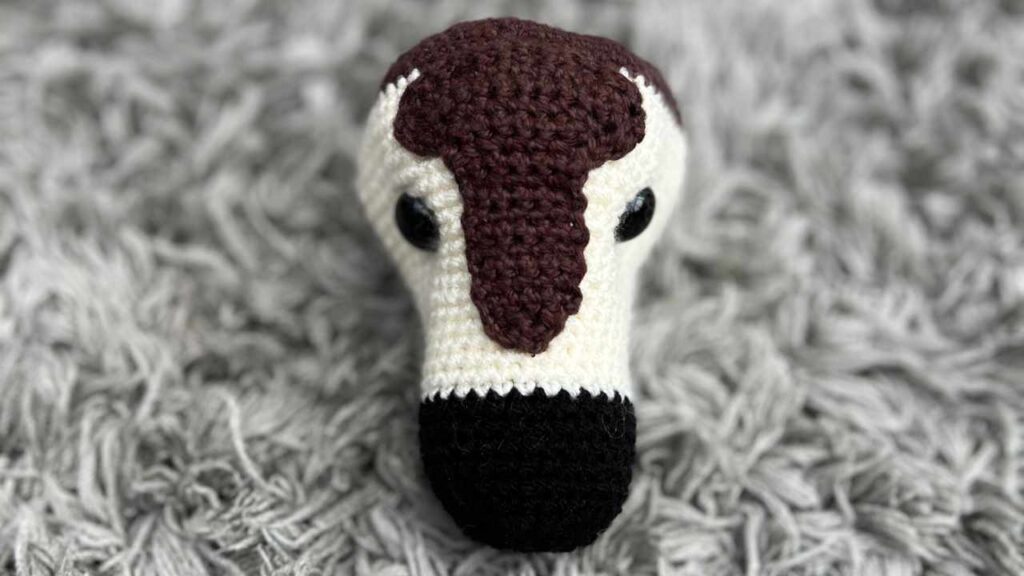 top view of the crochet okapi's head showing the patch