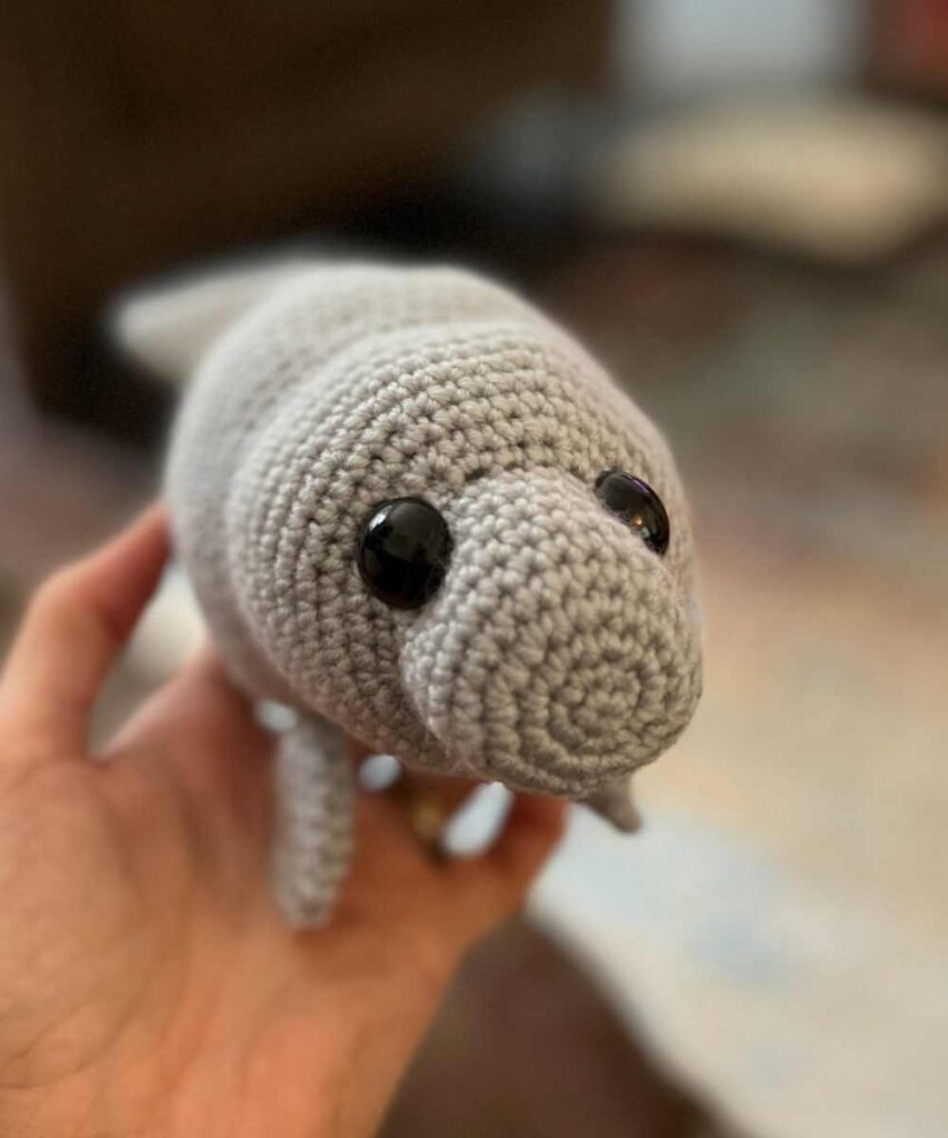 Image of me holding crochet manatee