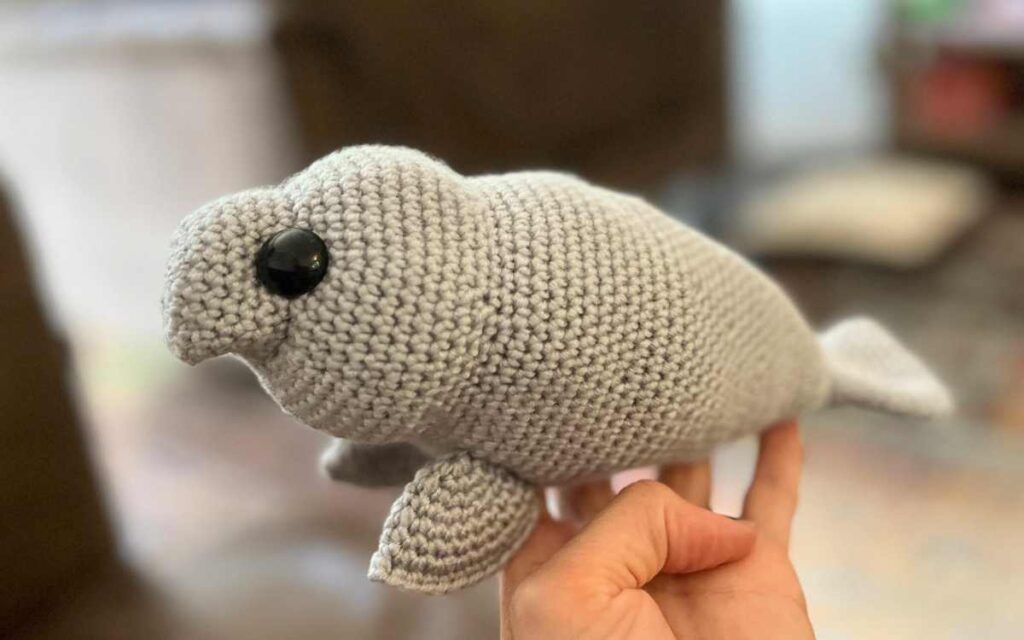 Image of me holding the amigurumi manatee