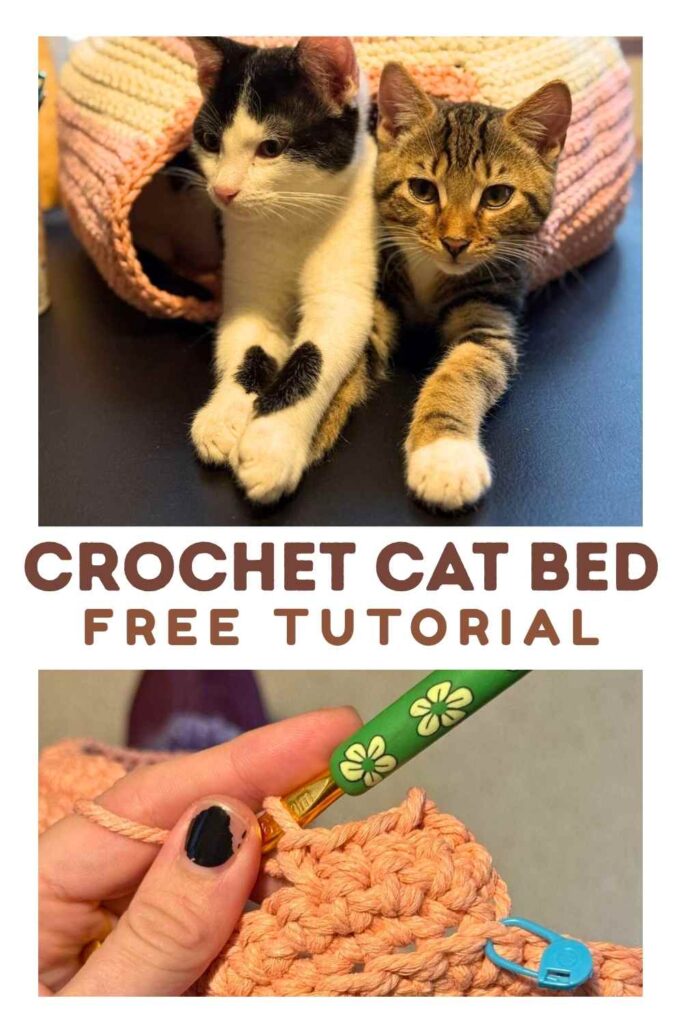 photo of two kittens in a crochet cat bed