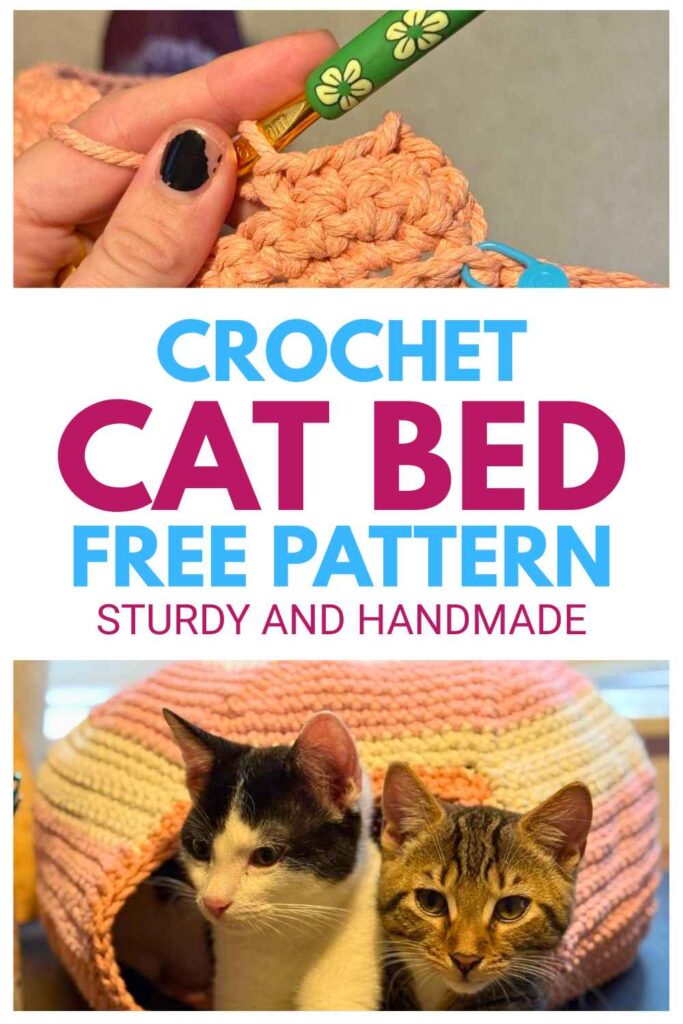 photo of a crochet hook and yarn above a photo of two young cats in a cat bed