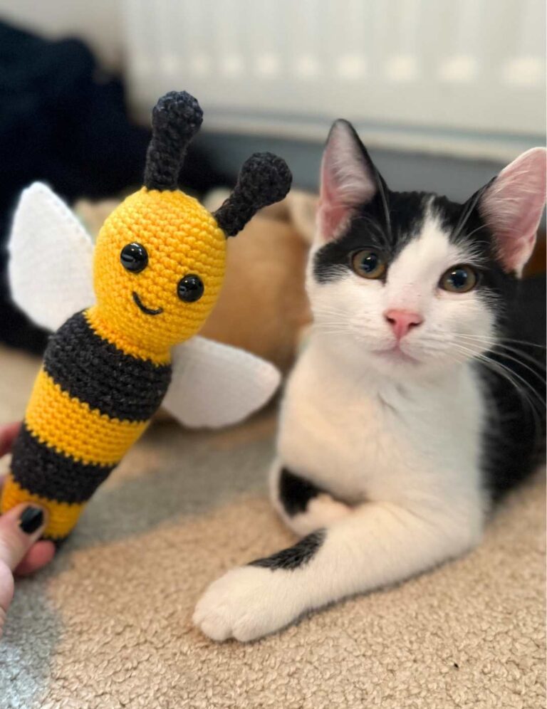 One Day Crochet Projects