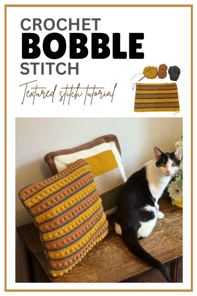 photo of a black and white cat next to a bobble stitch crochet pillow