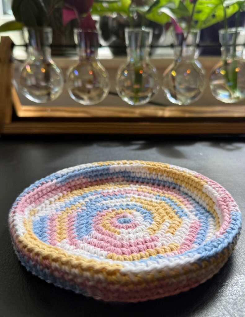 the dish in front of my propagation station