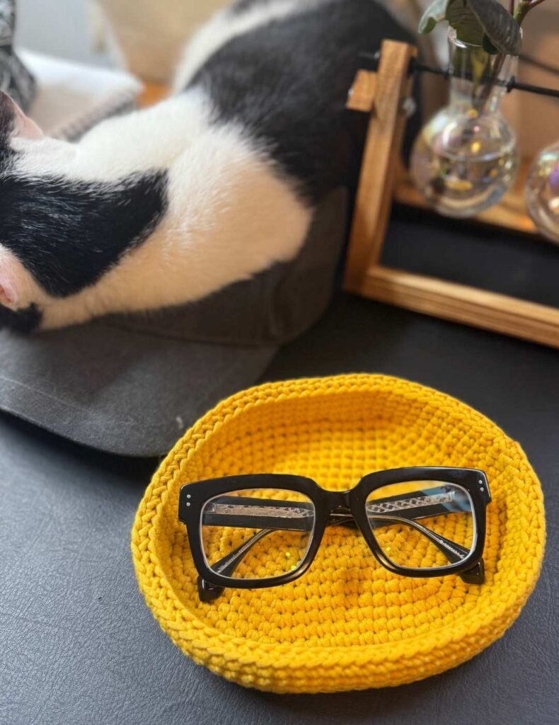 Arlo the cat with the glasses holder