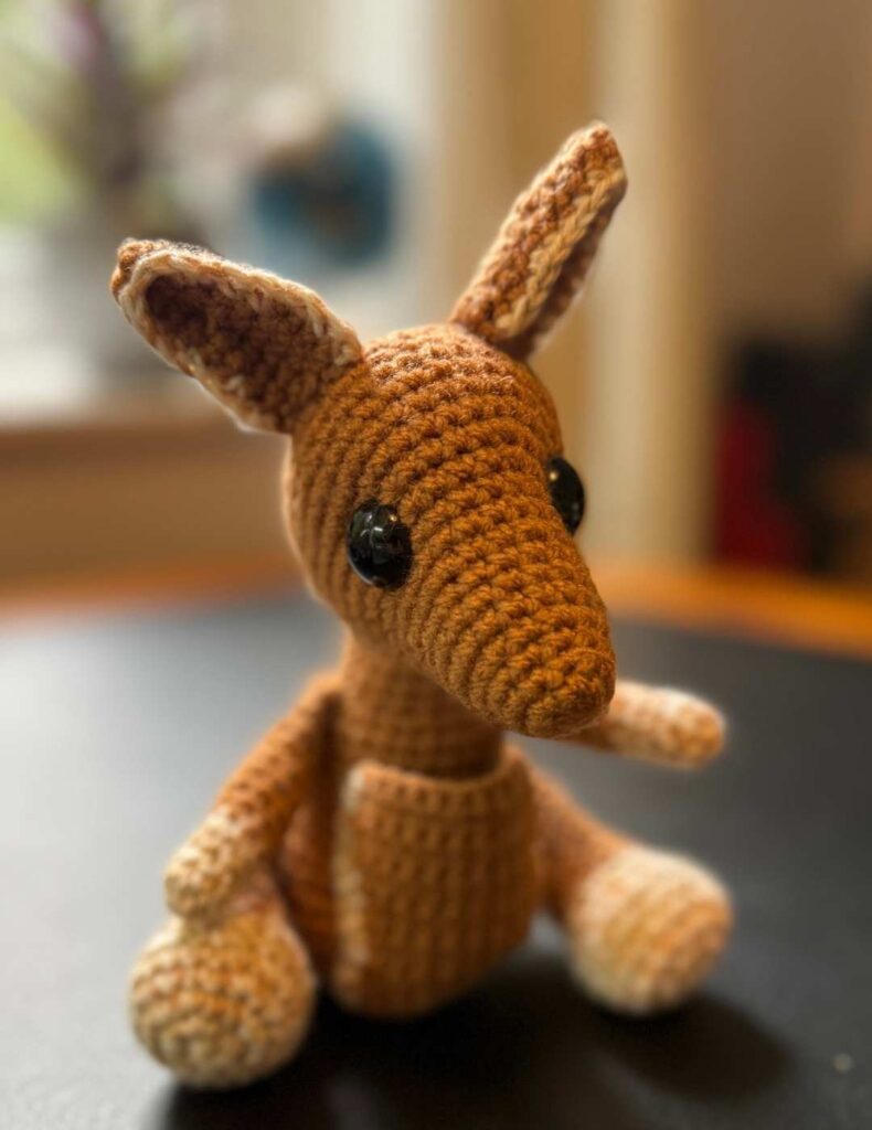 the finished kangaroo mom
