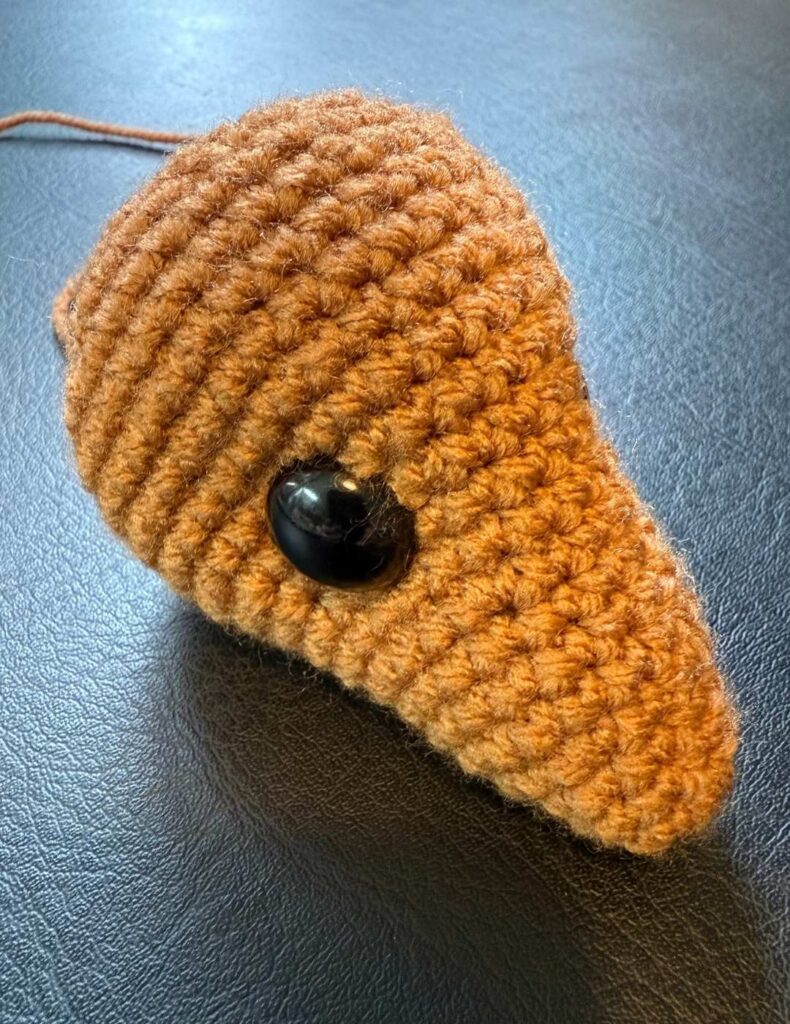 my kangaroo's head