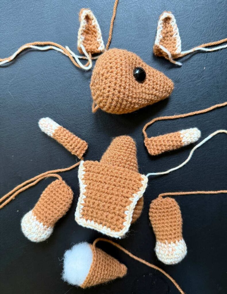 all the pieces of the kangaroo